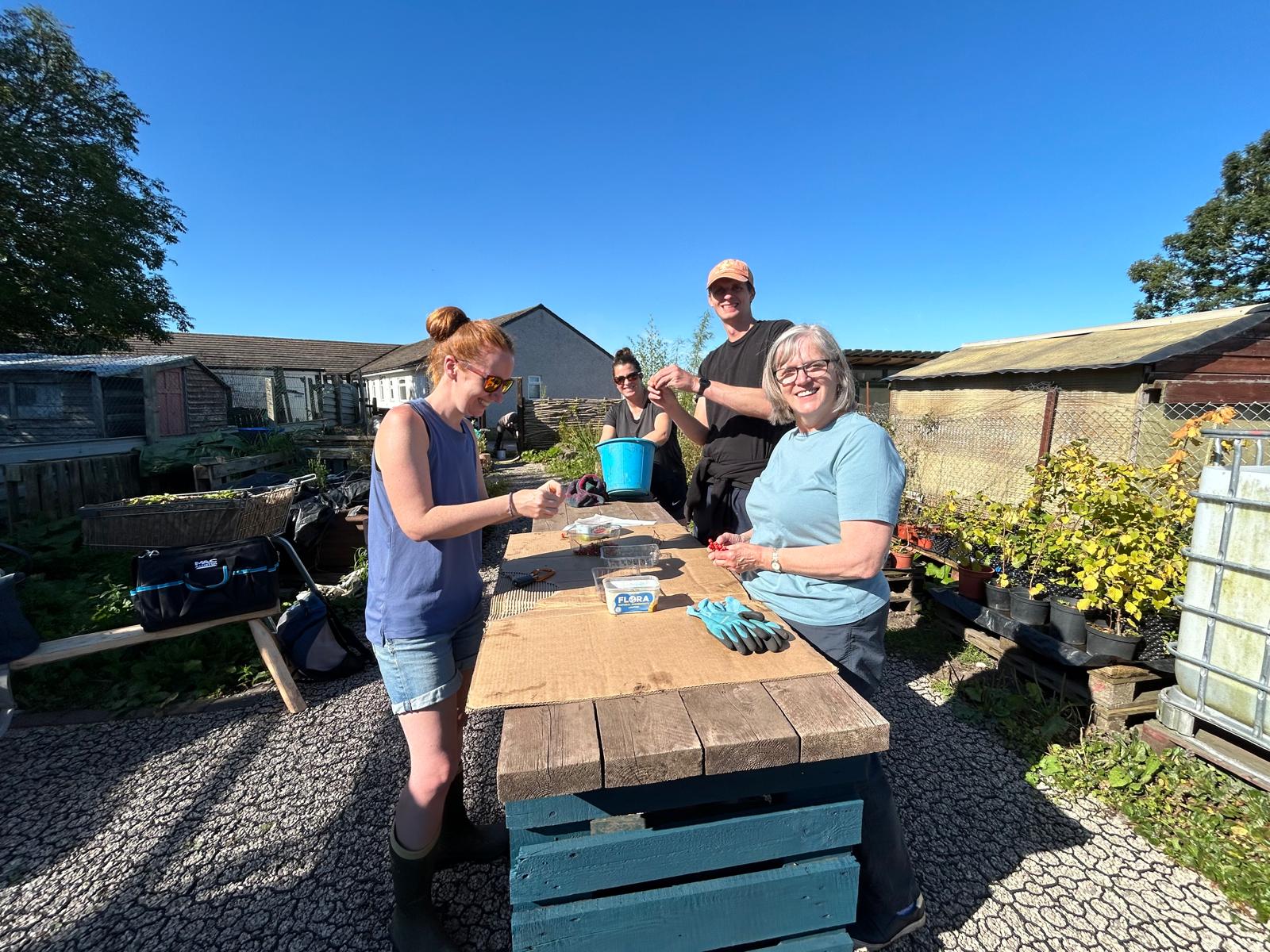 The Highlights team volunteer at the Eden Rivers Trust. They are helping to pick seeds out of Rowan tree berries. The sky is blue and they are all wearing tshirts. There are three women of medium height and one tall man.